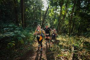 BIB: 
                            <button type="button" onclick="openModal(22545688)" class="btn btn-primary btn-sm float-right btn-popup" data-toggle="modal" data-target=".modal-high-quality">
                        <i class="fas fa-shopping-cart"></i> Add to Cart
                    </button>
                                            <button type="button" onclick="isThisMe(22545688, true)" class="btn btn-success btn-sm float-right btn-popup btn-isme hidden" data-toggle="tooltip" data-placement="bottom" title="นี่คือรูปของคุณใช่ไหม คลิกที่นี่เพื่อเอาเข้าอัลบั้ม">
                        <i class="fas fa-plus"></i> Add to album
                    </button>
                    <button type="button" onclick="isThisMe(22545688, false)" class="btn btn-warning btn-sm float-right btn-popup btn-isnotme hidden">
                        <i class="fas fa-ban"></i> Remove from album
                    </button>